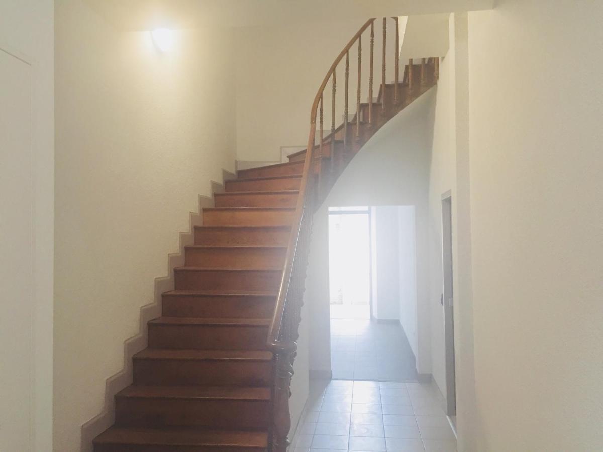 Villa Tarbis Tarbes Centre Ville , Appartements Tout Confort Eksteriør bilde